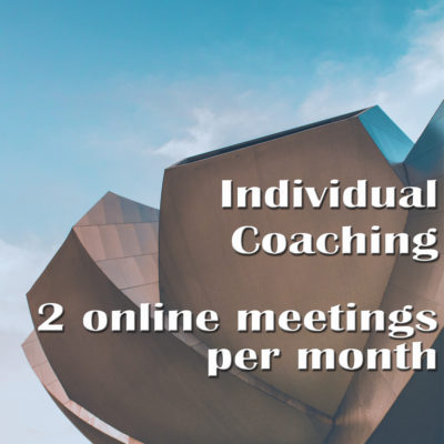 Individual Coaching  – 2 online meetings per month