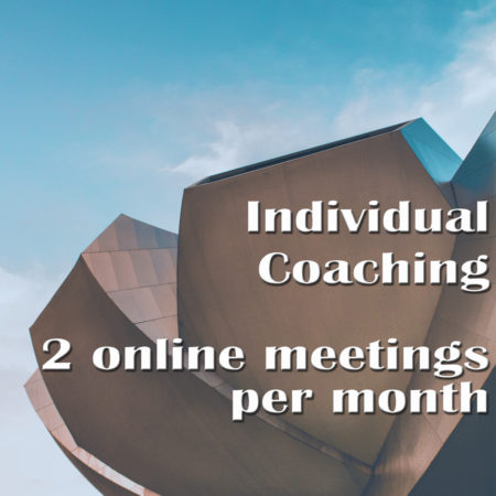 Individual Coaching  – 2 online meetings per month