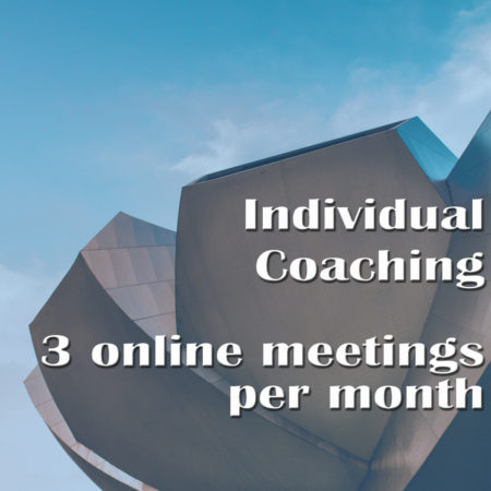Individual Coaching – 3 online meetings per month