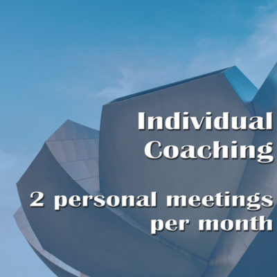 Individual Coaching – 2 personal meetings per month