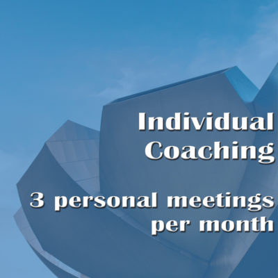Individual Coaching – 3 personal meetings per month