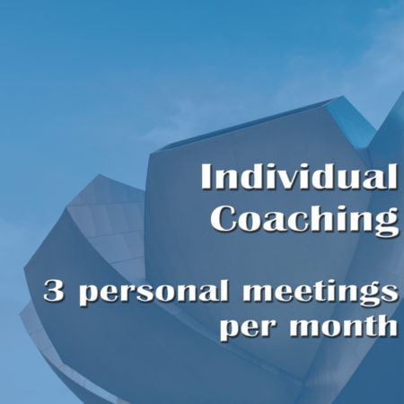 Individual Coaching – 3 personal meetings per month