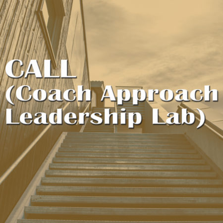 CALL (Coach Approach Leadership Lab)