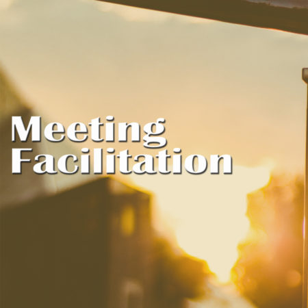Meeting Facilitation
